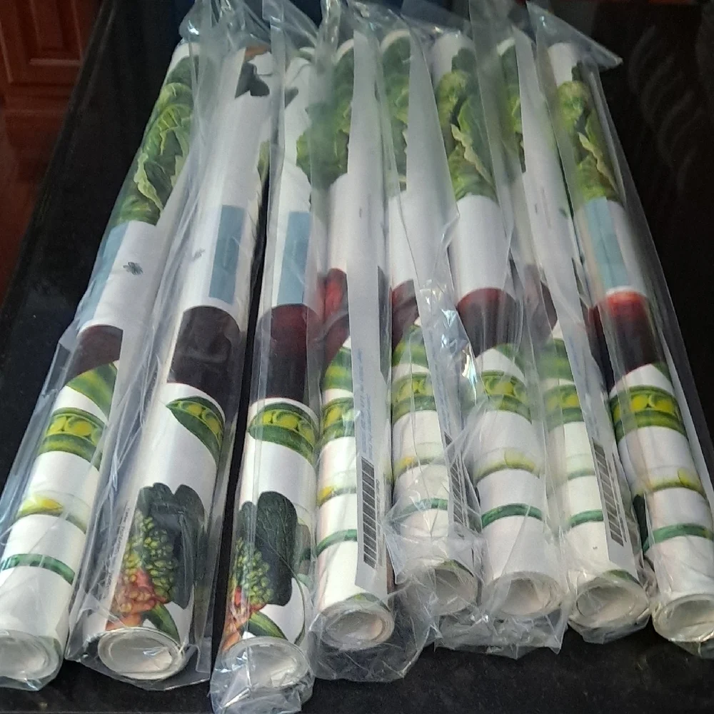 Vibrant Vegetable Print On White Bacground Pre Pasted Wallpaper
